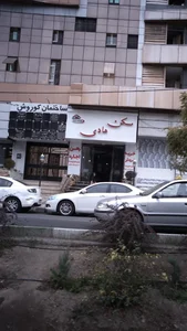 دکتر مسعود کومالکی