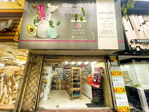 گالری میک آپ ریحان