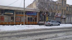 خدمات کشاورزی کوثر