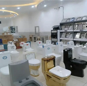 تاسیسات بشیری