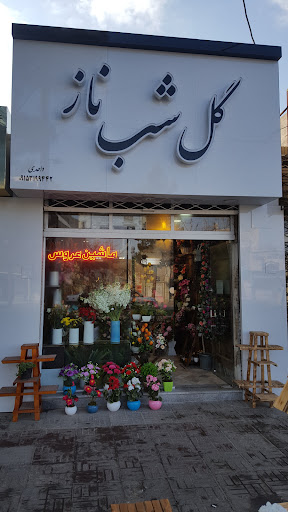 گل شب ناز