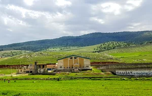 سالن نشاط