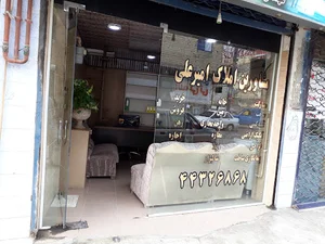 مشاورین املاک امیر علی