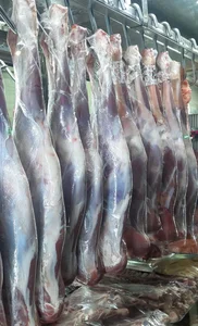 سوپرگوشت المهدی