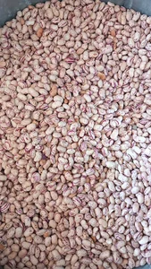 لبنیات سنتی اصالت
