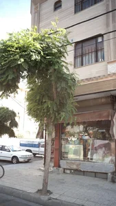 سوپر مارکت ابوذر 2
