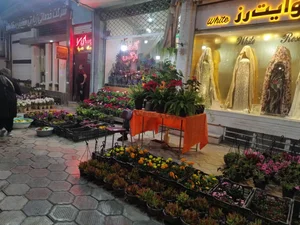 گلستان نرگس 2
