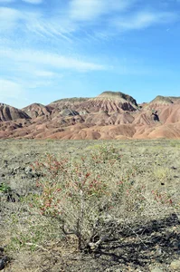 دره نیزار جوشقان مرکزی