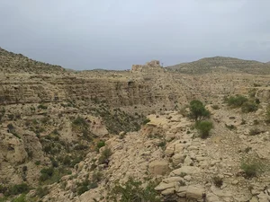 باغ روح الله هوشیاری