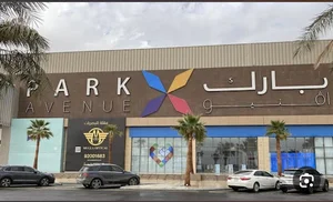Park Avenue Mall