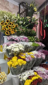 گل نیلوفر آبی 5