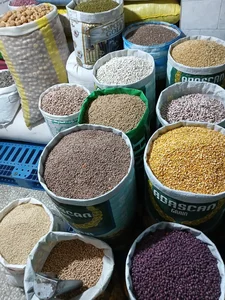 حبوبات دهکده سبز 4