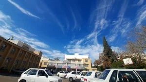 فرزانگان سادات رفيعي