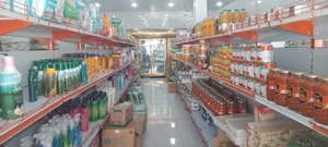 دزفول چغامیش