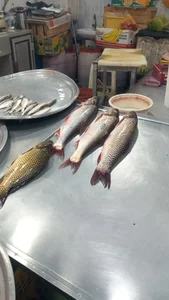 استخر 2