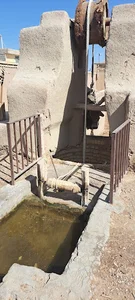 گاو چاه حاج محمد