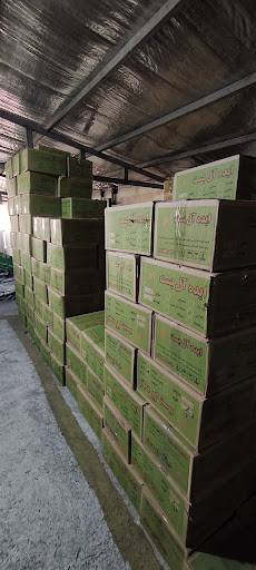فروشگاه ایده آل بست