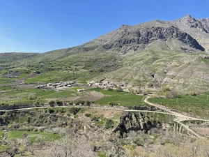 مزرعه آلان mazre