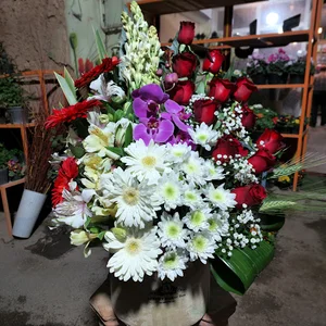 گفروشی شقایق