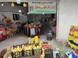میوه و تربار مستر مجد 2