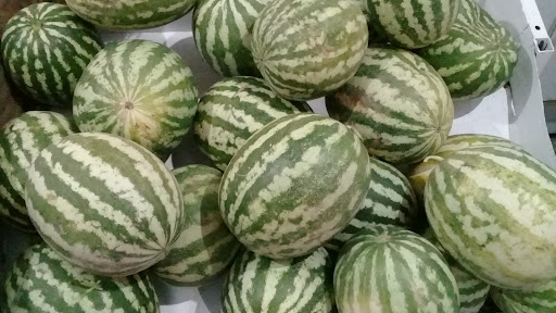 میوه وتره بار فروشی ناظمی