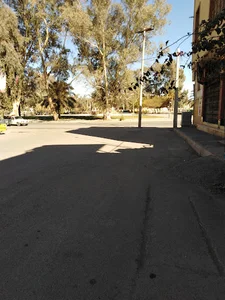 میدان زید