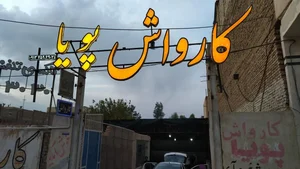 کارواش پویا 2