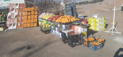 میوه فروشی سید