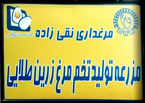 مرغداری زرین طلایی