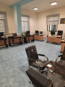آژانس دیجیتال مارکتینگ DMPlus