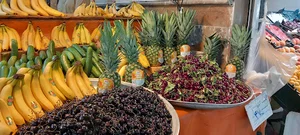 میوه سرای گلایل