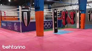 باشگاه بوکس پاکدامن