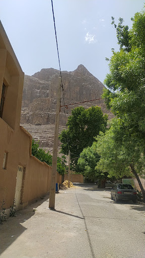 چنار دوقلوی مزرعه میر سید محمد تفت