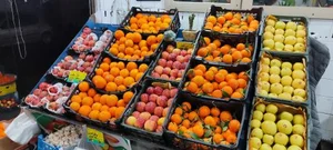 میوه سرای آقای با انصاف 4