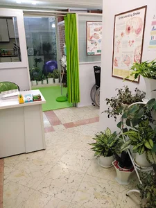 فیزیوتراپی تخصصی بهشت