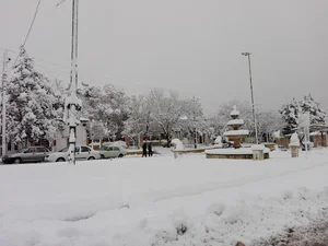 فروشگاه اتکا