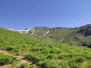 نئون پیکسل