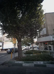 نمایشگاه اتومبیل