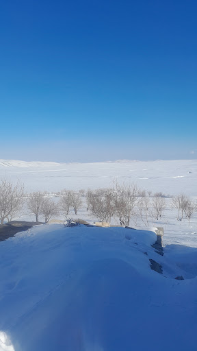 خواربار فروشی یونسی