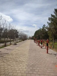 پارک جوان 2