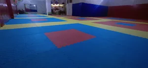 باشگاه ورزشی گل نرگس