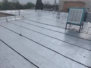 جلیل محمودی پور 5