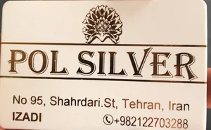 Pol Silver