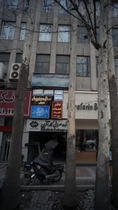دکتر آیت اله بیاتیان 2
