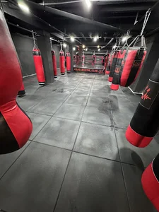 آکادمی بوکس آراد