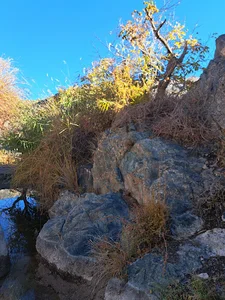 روستاي دزگ