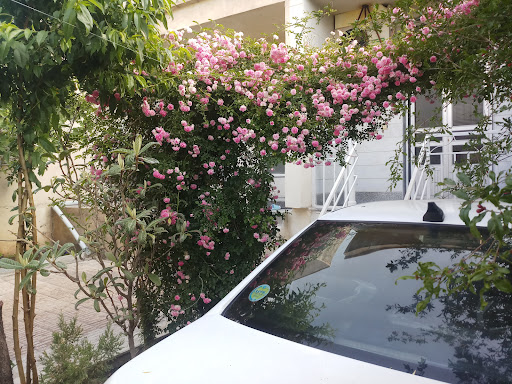خانه میانه