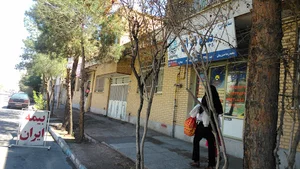 بیمه ایران