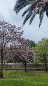 پارک مهر 2