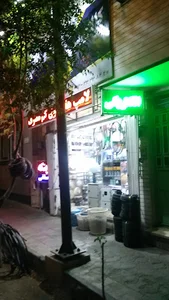 الکتریکی پارسین